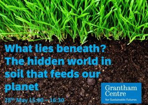 free sustainability webinars: poster for What lies beneath