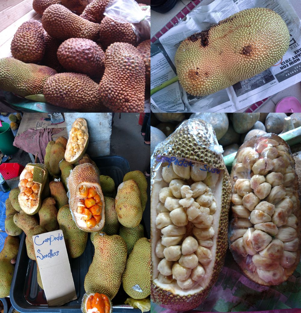 What does cempedak taste like? Here are pictures of different ways to display and prepare cempedak to eat, showing the funky looking spiky fruit