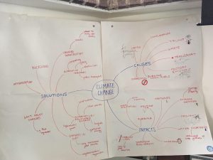 next generation environmental thinkers - a mind map from year 12.