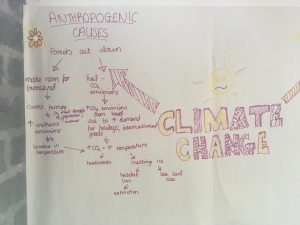 next generation environmental thinkers - a mind map from year 12.