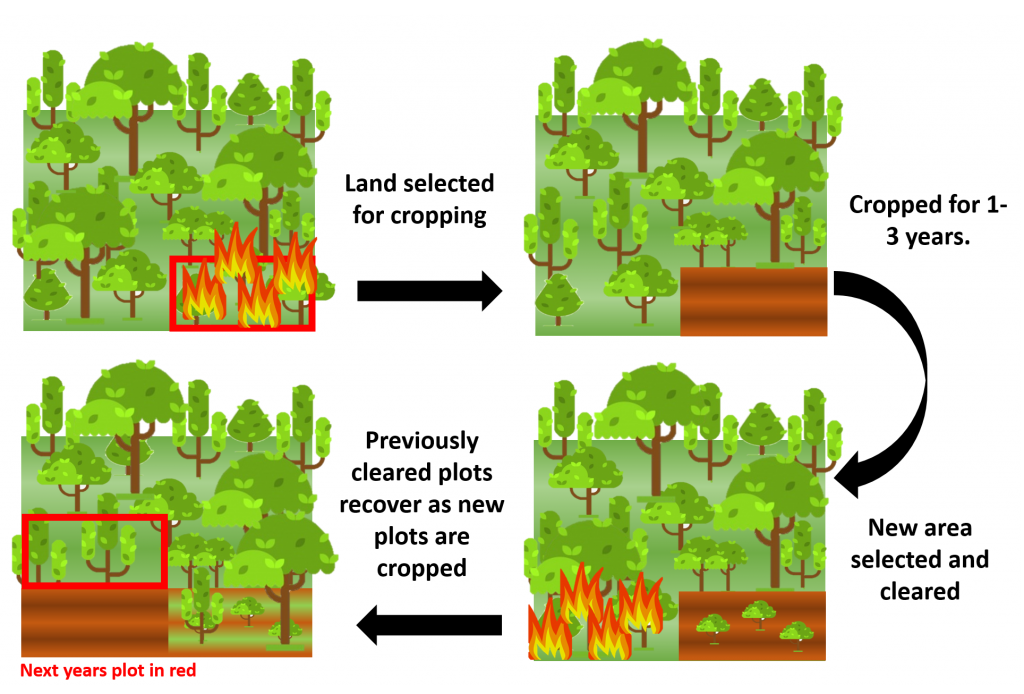 What Is Secondary Cultivation