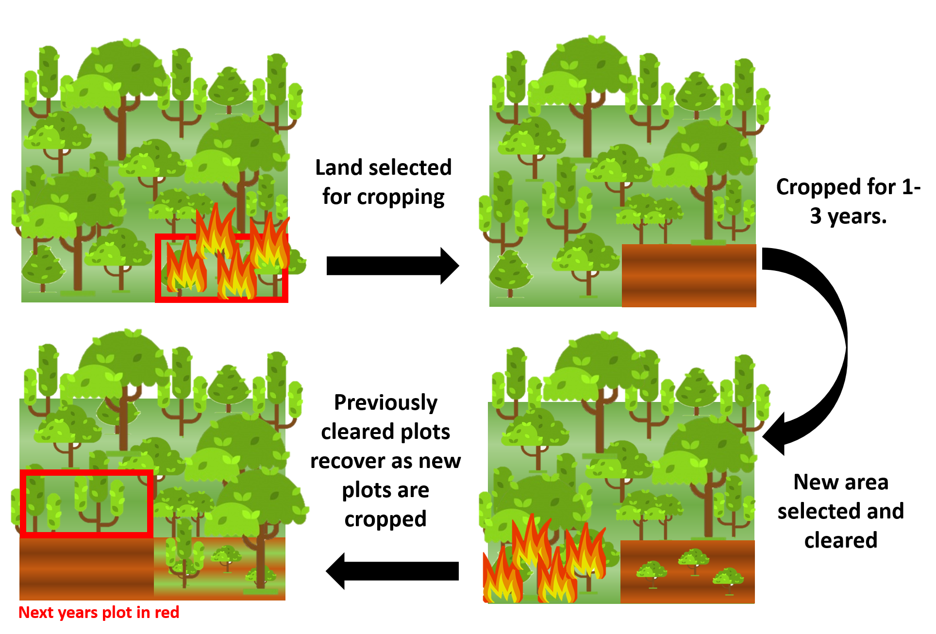 economically-viable-forest-restoration-in-shifting-cultivation-landscapes