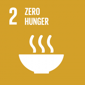 icon for SDG 2 Zero Hunger