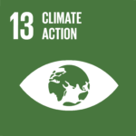 icon for SDG 13 Climate Action