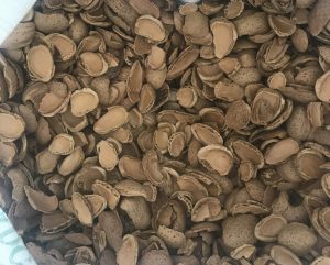 almond shells can be used as an alternative growing media