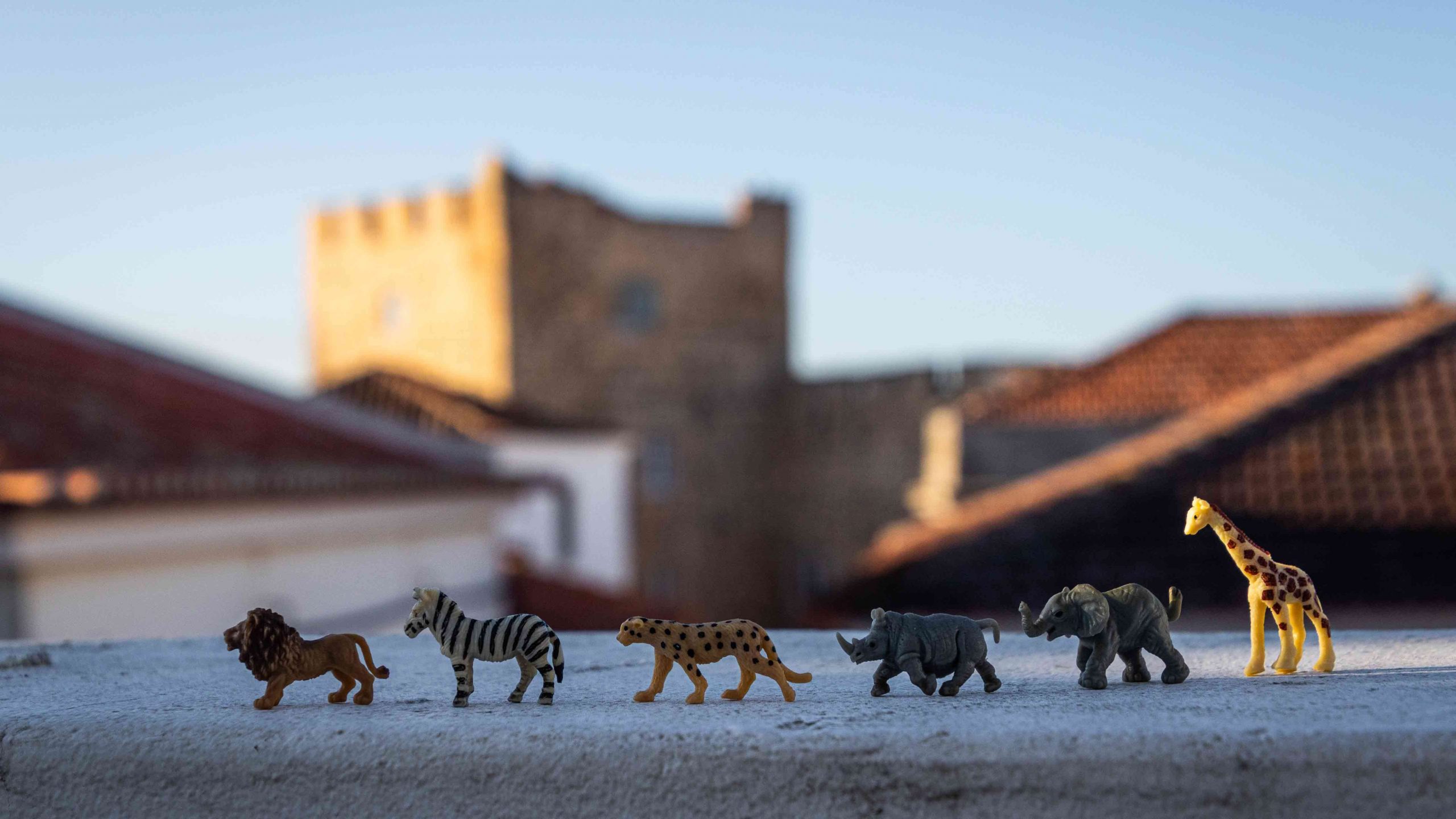 a row of toy animals: conservation and impact