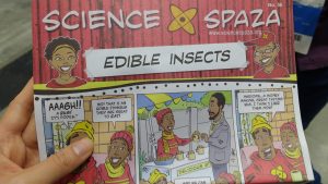 a leaflet explaining edible insects for children