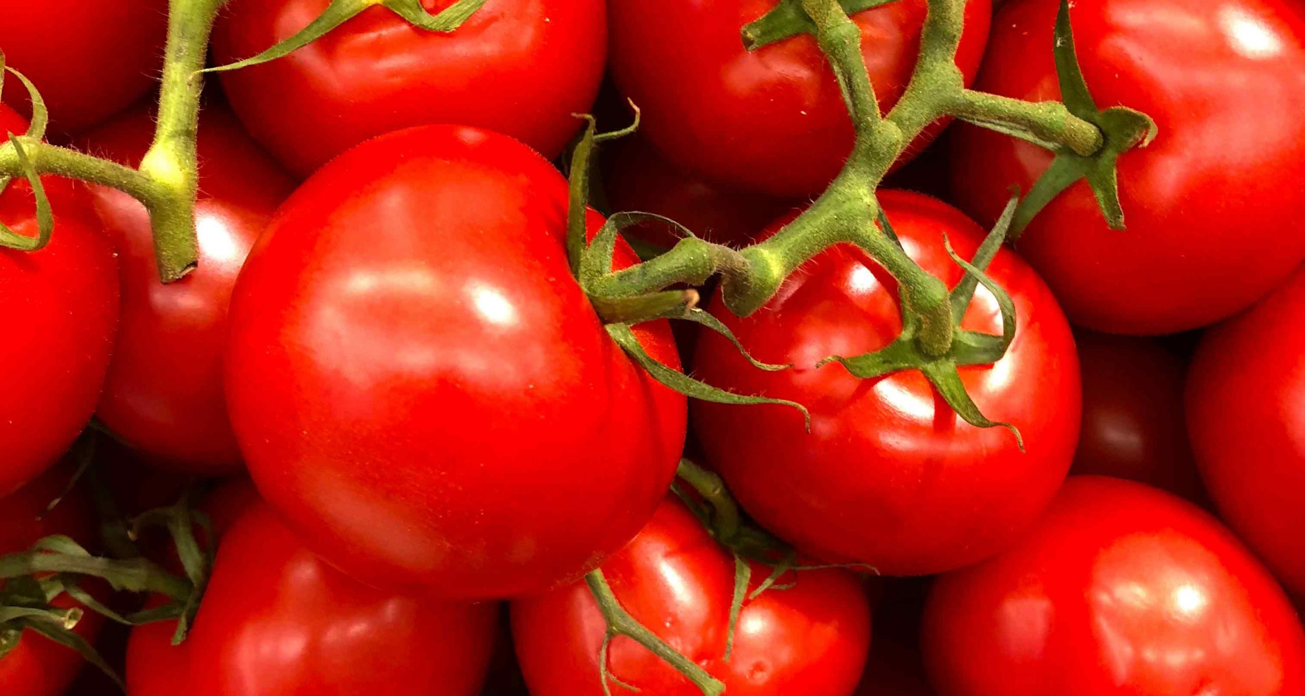 Comparing resource tomato production